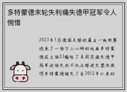 多特蒙德末轮失利痛失德甲冠军令人惋惜